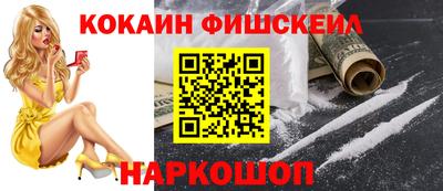 гашик Будённовск