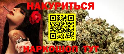 гашик Будённовск