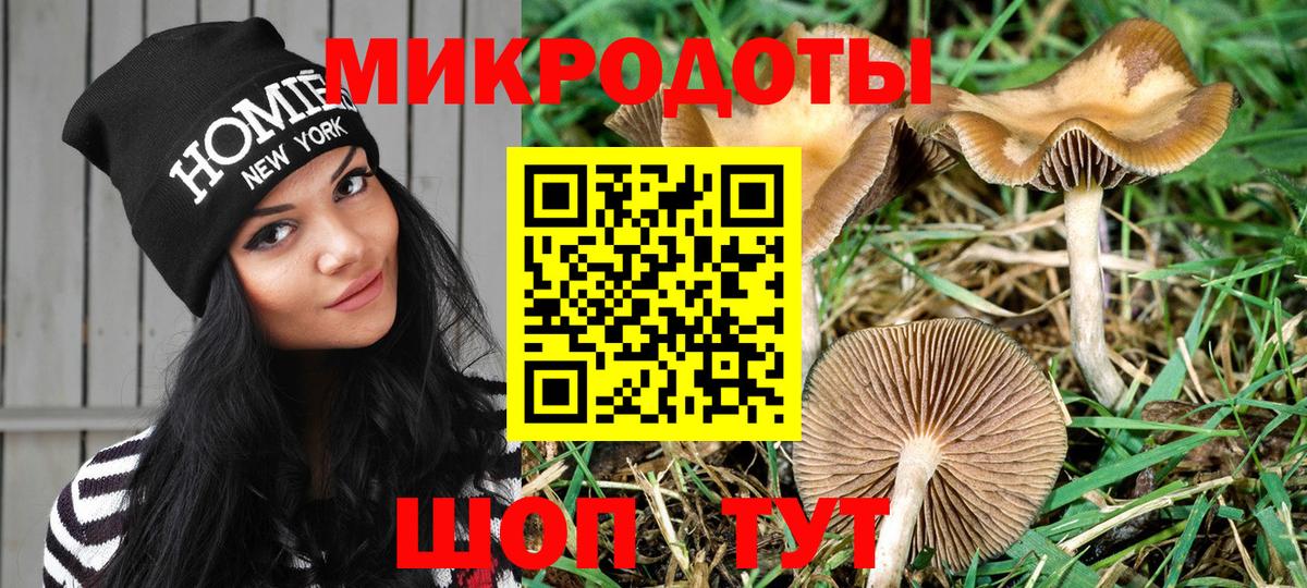 что такое наркотик  Галлюциногенные грибы Magic Shrooms  Вход с VPN  Сафоново 