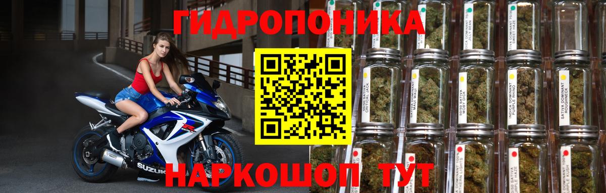 Каннабис Amnesia  Шишки марихуана индика  Канабис Bruce Banner  Вход с VPN  Сафоново  Канабис VHQ 